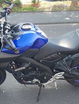 Yamaha MT-125 - Köln
