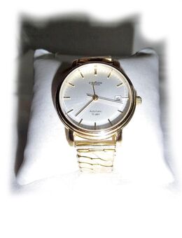Seltene PallasPara Automatic Armbanduhr - Nürnberg
