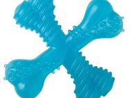 Nylabone Welpen X-Bone Kauspielzeug - L 9 x B 9 x H 3,5 cm