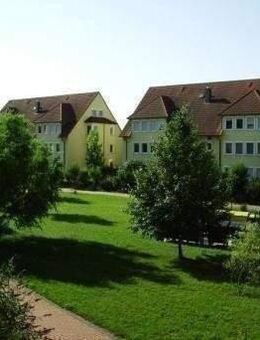 Preisgünstig! Hübsche 2-Zi-Mais-Whg, 2.OG/DG, Balkon, grün und ruhig - Hohe Börde