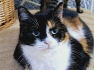 Mariella sucht geduldige Menschen - München