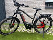 E-Bike Haibike Trekking 9 - Reken