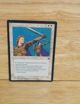 Magic The Gathering-Serras Paladin - Nörvenich
