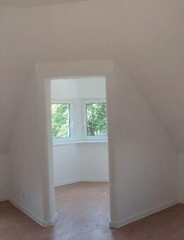 **Über den Baumwipfeln muss der Ausblick wohl traumhaft sein** - Solingen (Klingenstadt)