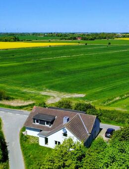Rohdiamant am Nordseedeich in Nordfriesland - Emmelsbüll-Horsbüll