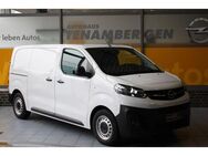 Opel Vivaro Kasten Edition M Navi Holzverkleidung DAB - Mettingen