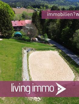 Hunde, Pferde & Gäste willkommen - Vielseitiges Landhaus in Naturlage in der Neureichenau - Neureichenau