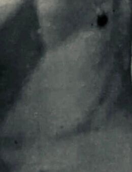 Suche eine nette Dame - Kassel