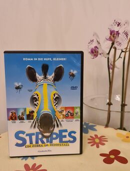 Stripes Ein Zebra im Rennstall Günther Jauch DVD Constantin Film 16:9 Dolby 5.1 - Essen