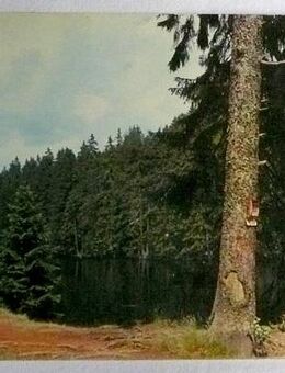alte AK Braunlage im Oberharz mit Silbersee - Niederfischbach