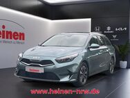 Kia cee'd, , Jahr 2024 - Werne