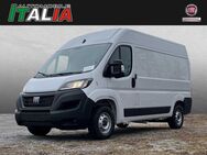 Fiat Ducato, 35 180 Multijet L2H2, Jahr 2023 - Regensburg