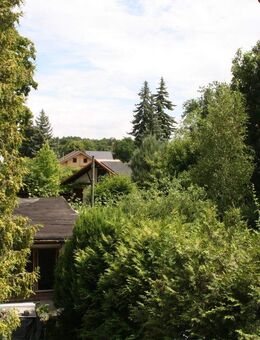Naunhof: Freistehendes EFH in Naunhof auf einem tollen Grundstück in Bestlage - Naunhof