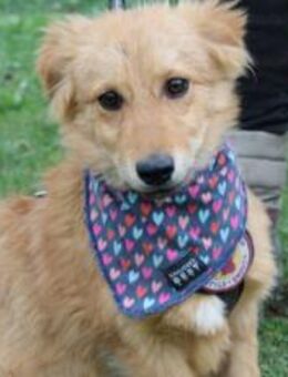 Neelo wartet schon auf dich - München