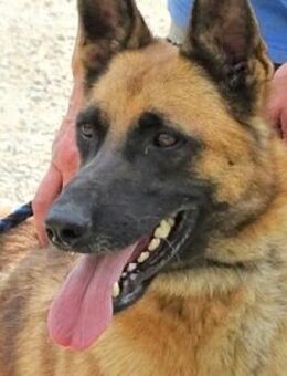 IKE möchte die Welt erkunden - Gefrees