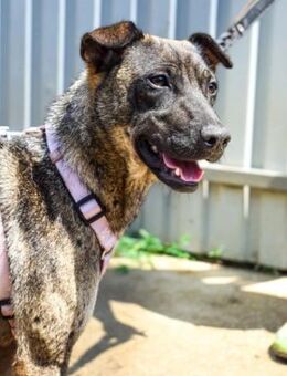 Cheryl möchte entdeckt werden - Nordwalde