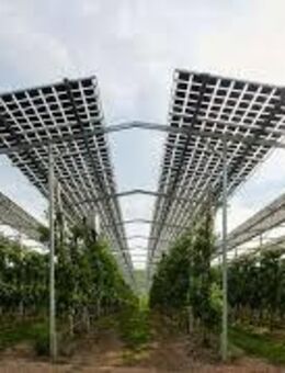 Agri Pacht PV Anlage pro 1 Hektar, mindestens 20.000 Euro, - Stockach