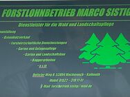 Garten und Anlagepflege Garten und Landschaftsbau - Mechernich