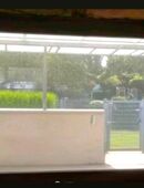 Holzfenster Fenster zu Verschenken 3m breit in 67363