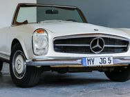 Mercedes Pagode 280 SL - Plaidt