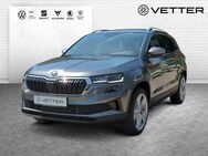 Skoda Karoq, 2.0 TDI Drive, Jahr 2024 - Pressig