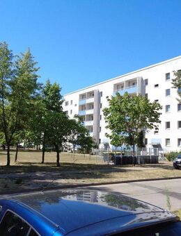 Nachmieter gesucht für kleine Wohnung - Brandenburg (Havel)