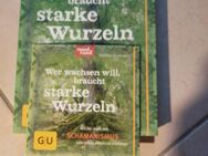 Wer wachsen will braucht starke Wurzeln - Nordkirchen