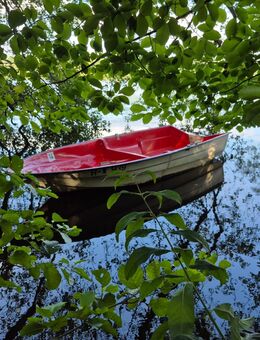 Kombiboot Boot Segeln Rudern Motorboot - Schwielowsee