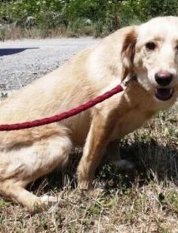 Matila ist so hübsch und lieb! - Karben