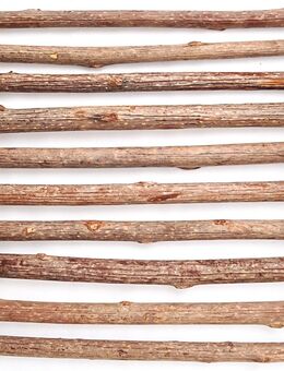 Aumüller Katzensticks Silver Vine - Sparpaket: 20 Sticks