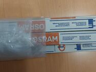 OSRAM Leuchtstofflampen L 15 W / 25 - Chemnitz