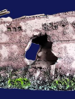 Interessante Aquarium Deko - Bremen