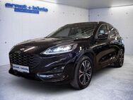 Ford Kuga 2.5 Duratec PHEV ST-LINE X - Freiburg (Breisgau)