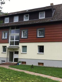 Attraktive, Souterrain 3 Zi-Wg. im schönem Kurort Bad Harzburg - Bad Harzburg