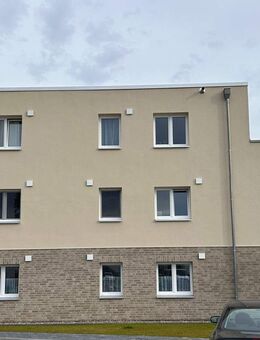 Schöne 3-Zimmer Erdgeschoss Neubauwohnung in Reinfeld - Reinfeld (Holstein)