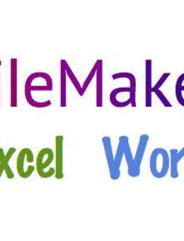 Filemaker-Datenbankentwicklung / Excel- und Word-Vorlagen - Berlin