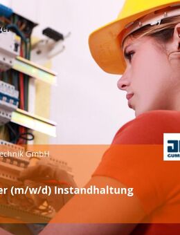 Mitarbeiter (m/w/d) Instandhaltung - Einhausen (Hessen)