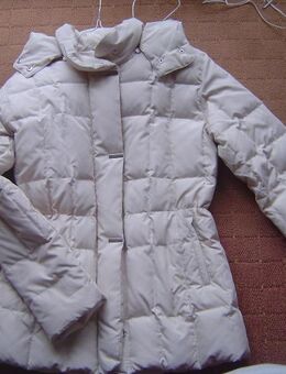 Damen Daunenjacke BC Gr. 38 beige/creme - Hamburg