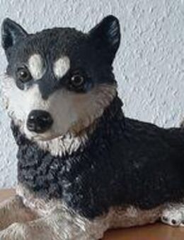 Husky-Skulptur - Hamm