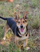 SPARKY - Zusammen ist ganz mein Ding in 51491