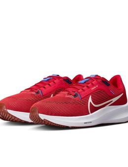 Nike PEGASUS 40 Laufschuh