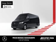 Mercedes Sprinter, 317 L3H2, Jahr 2023 - Heide