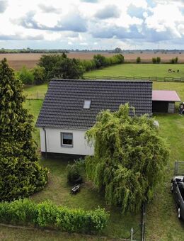 Einfamilienhaus für Tierliebhaber - Haus mit Koppel und Stallgebäuden - Stolpe (Landkreis Vorpommern-Greifswald)