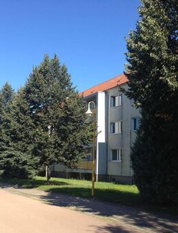 möblierte 3-Zimmer-Wohnung mit Balkon in malerischer Umgebung - Coswig (Anhalt)