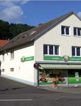 6,5 Zimmer, 160qm, Balkon, Seeblick, 100m zum Strand, von privat - Sipplingen