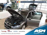 Skoda Octavia, 2.0 TDI Combi Joy WINTERPAKET, Jahr 2025 - Blankenburg (Harz)