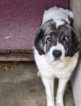 Tela braucht neues Vertrauen in Menschen - München