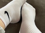 Verkaufe getragene Socken - Paderborn Zentrum