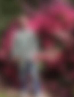 Pau*** - Verden (Aller)