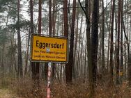 Eggersdorf - Grundstück 100 m zum Waldrand - Petershagen (Eggersdorf)